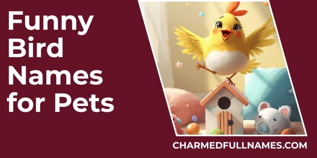 Funny Bird Names for Pets
