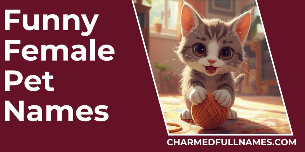 Funny Female Pet Names