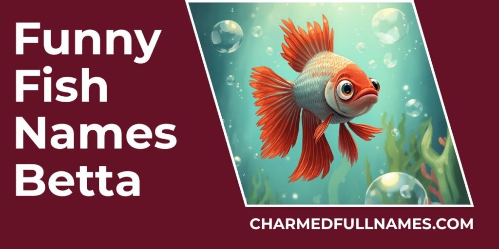 Funny Fish Names Betta