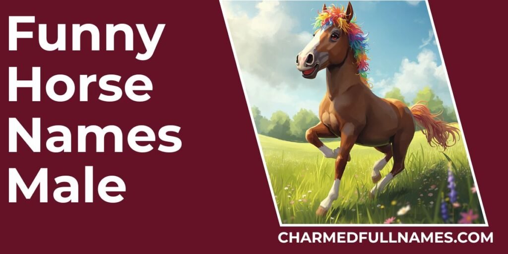 Funny Horse Names Male