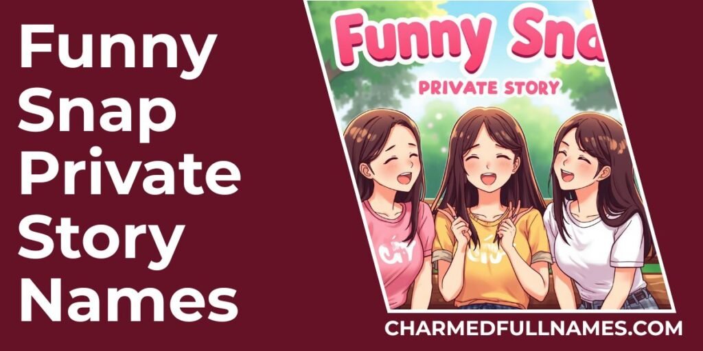 Funny Snap Private Story Names