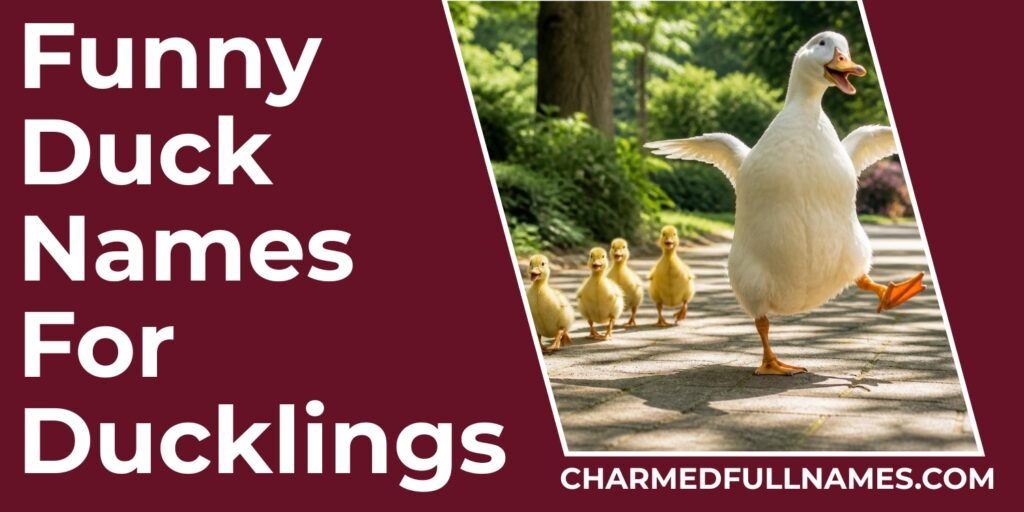 Funny Duck Names For Ducklings