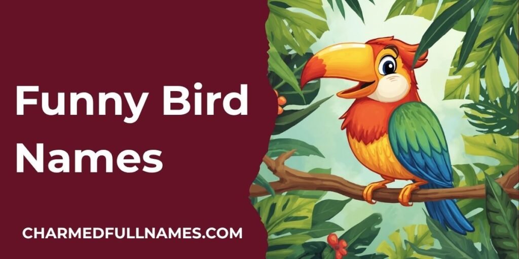 Funny Bird Names